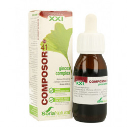 COMPOSOR 41 GINCOX SIGLO...