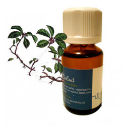 ACEITE ESENCIAL 'WINTERGREEN'